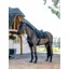 LeMieux Jump Work Pad Large Black